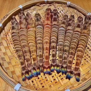 舟山竹节虾斑节虾鲜活海鲜水产超特大基围虾速冻海虾九节虾黑虎虾