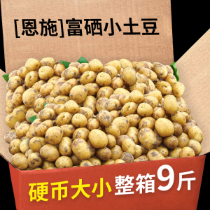 恩施小土豆新鲜马铃薯5斤正宗黄心薄皮土豆洋芋现挖蔬菜10马铃薯