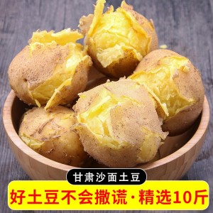 甘肃沙面土豆10斤带箱5斤新鲜定西土豆面洋芋蔬菜黄心菜土豆